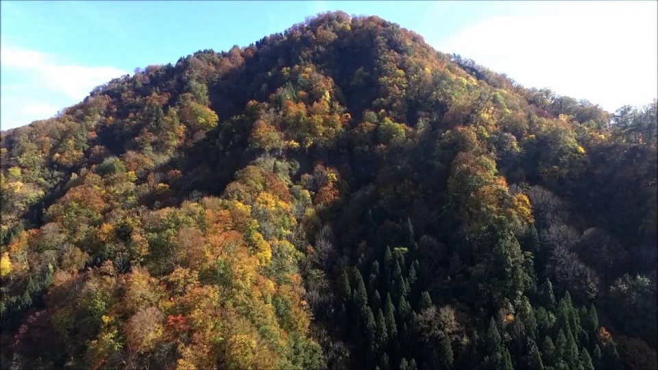 天狗の山（金山町）